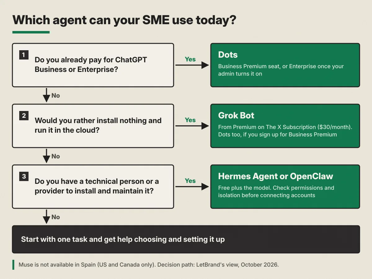 Decision diagram "Which agent can your SME use today?". Question 1: do you already pay for ChatGPT Business or Enterprise? If yes, Dots, on the Business Premium seat or on Enterprise once your admin turns it on. If no, question 2: would you rather install nothing and run it in the cloud? If yes, Grok Bot, from Premium on The X Subscription, $30 a month; Dots too if you sign up for Business Premium. If no, question 3: do you have a technical person or a provider to install and maintain it? If yes, Hermes Agent or OpenClaw, free plus the model, checking permissions and isolation before connecting accounts. If no: start with one task and get help choosing and setting it up. Footnote: Muse is not available in Spain, US and Canada only; the decision path is LetBrand's view, October 2026.